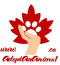 Adopt An Animal Canada web2