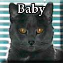 Baby-Tagged