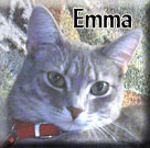 Emma-Tagged