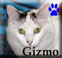 Gizmo-Tagged
