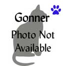 Gonner-Tagged