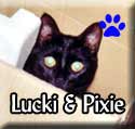 Lucki&Pixie-Tagged