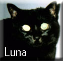 Luna-Tagged