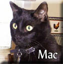 Mac Tagged