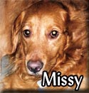 Missy-Tagged