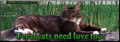 Need-Love-Too