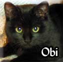 Obi-Tagged