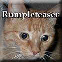 Rumpleteaser-Tagged