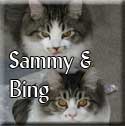 Sammy-&-Bing-Tagged