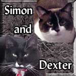 Simon-&-Dexter