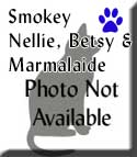 Smokey,-Nellie-et-al-Tagged