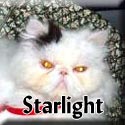 Starlight-Tagged