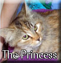 The-Princess-Tagged