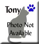 Tony-Tagged
