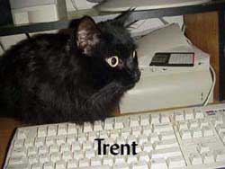 Trent-Name1