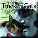 Trucker-Cats-Tagged