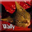 Wally-Tagged