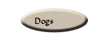 Dogs
