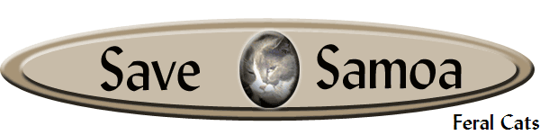 Feral Cats