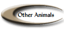 Other Animals