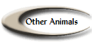 Other Animals