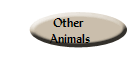 Other 
Animals
