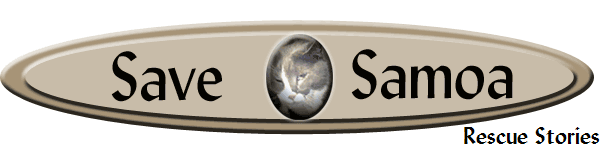 Rescue Stories