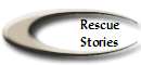 Rescue
Stories