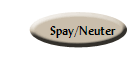 Spay/Neuter